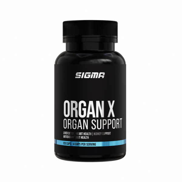 ORGAN X - ORGAN SUPPORT