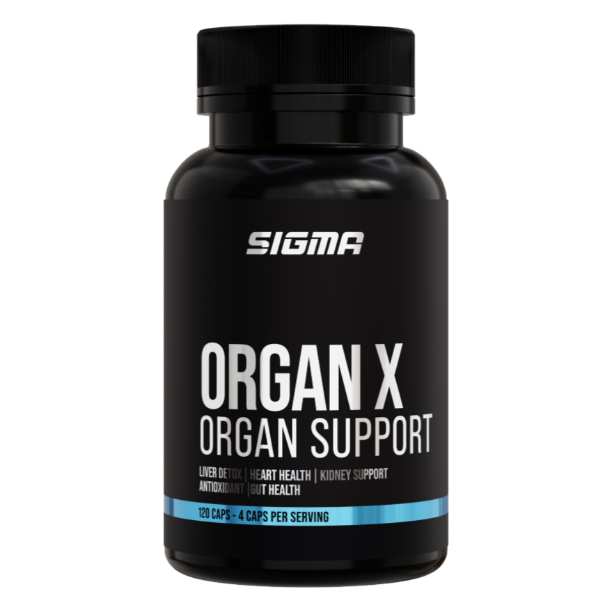 ORGAN X - ORGAN SUPPORT