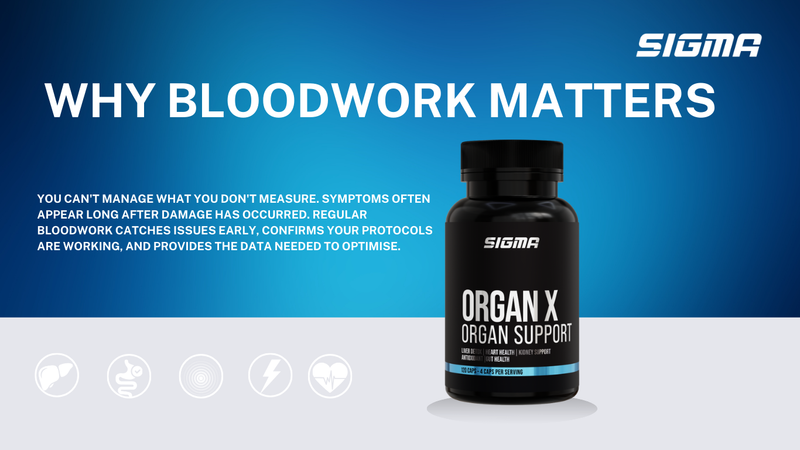 Why Bloodwork Matters