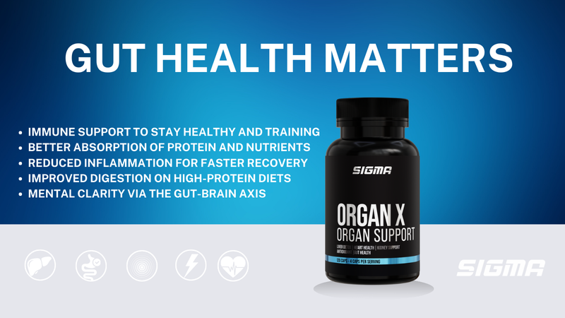 Why Gut Health Matters