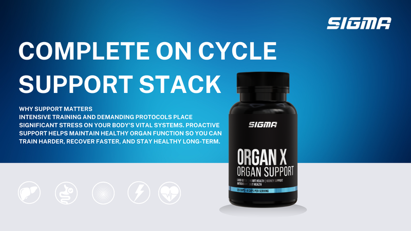 Complete On Cycle Support Stack