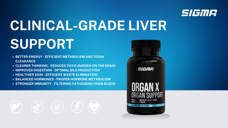 Clinical-Grade Liver Support