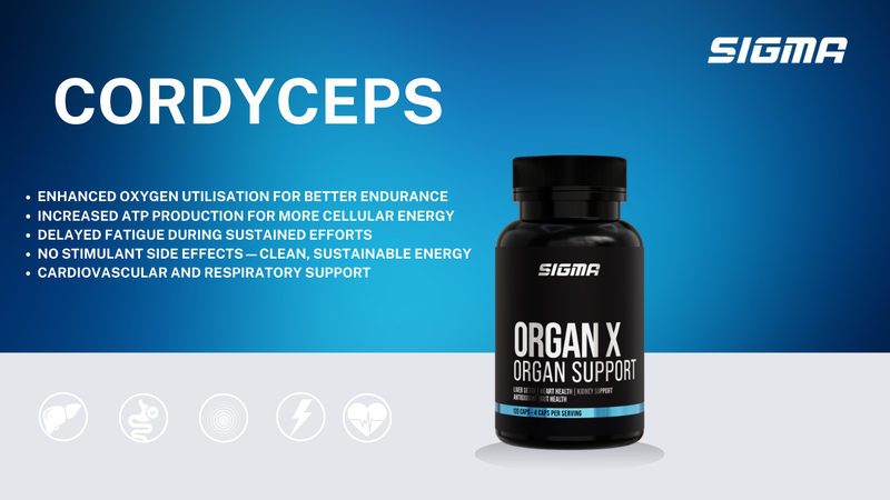 What Makes Cordyceps Special