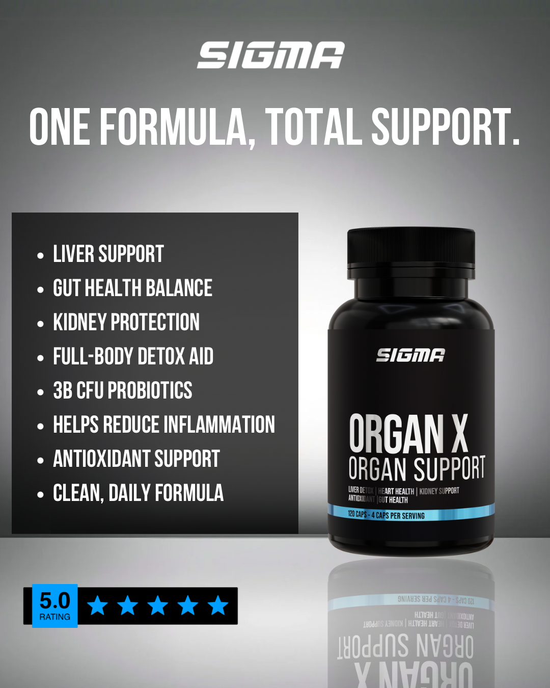 ORGAN X - ORGAN SUPPORT