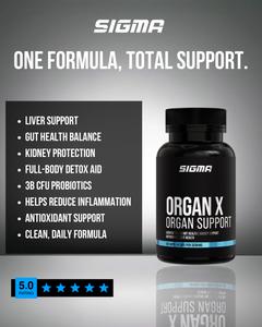 ORGAN X - ORGAN SUPPORT photo 5
