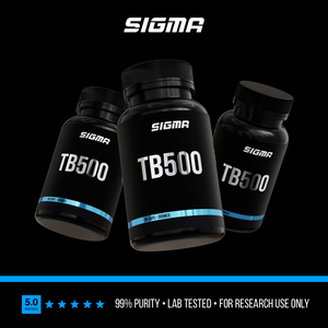 TB500 - Image 3