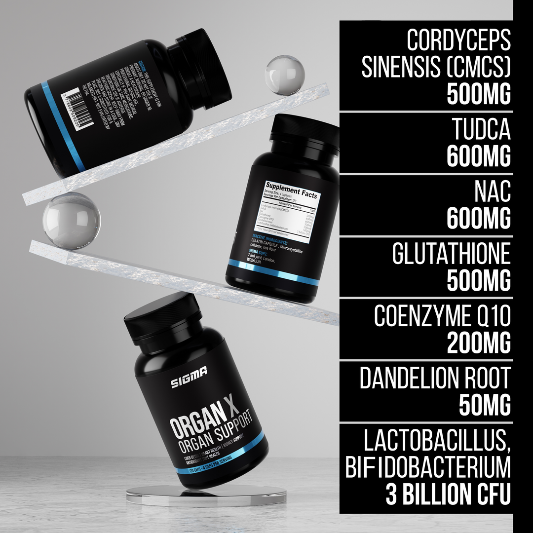 ORGAN X - ORGAN SUPPORT